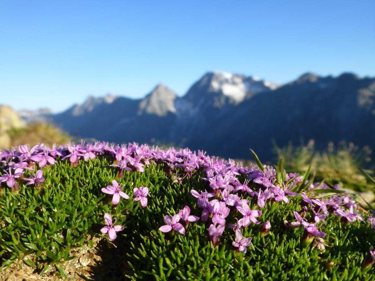 Gasthof Pension Kohlplatzl Hopfgarten in Defereggen Exteriör bild